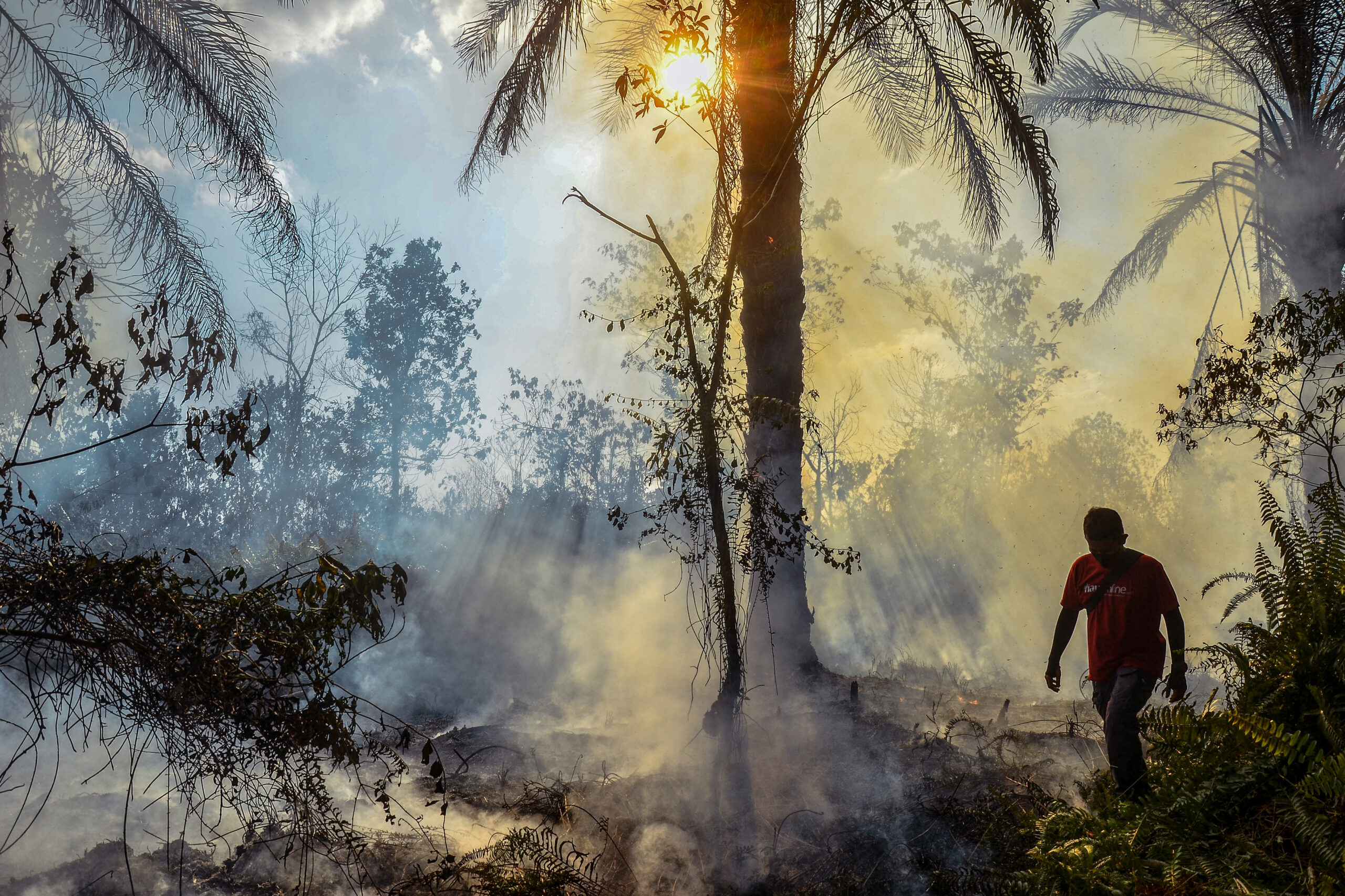 Amidst disasters, seizing the moment for a more resilient Asia-Pacific
